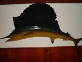 Enlarge photo 475