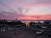 Enlarge photo 363