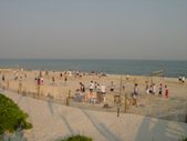 Enlarge photo 287