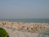 Enlarge photo 289