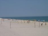 Enlarge photo 394