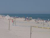Enlarge photo 395