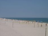 Enlarge photo 396
