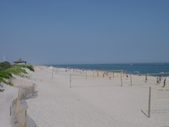 Enlarge photo 407