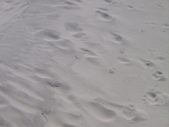 Enlarge photo 408