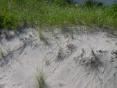 Enlarge photo 409