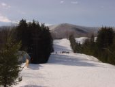 Enlarge photo 31
