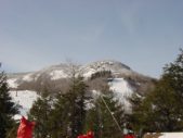 Enlarge photo 55