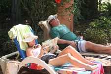 Enlarge photo 53