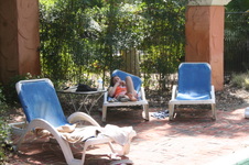 Enlarge photo 54