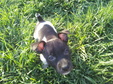 Enlarge photo 31