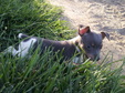 Enlarge photo 37