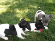 Enlarge photo 23