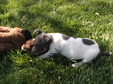 Enlarge photo 33