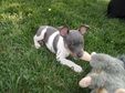 Enlarge photo 26
