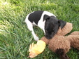 Enlarge photo 22