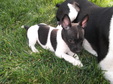 Enlarge photo 15