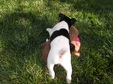 Enlarge photo 21