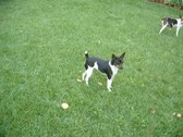 Enlarge photo 16