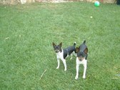Enlarge photo 12