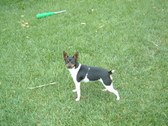 Enlarge photo 14