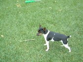 Enlarge photo 15