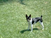 Enlarge photo 6