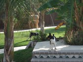 Enlarge photo 26