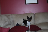 Enlarge photo 27