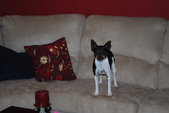 Enlarge photo 28