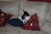 Enlarge photo 29