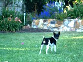 Enlarge photo 8
