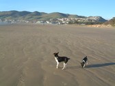 Enlarge photo 18
