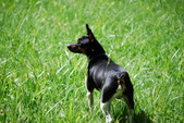 Enlarge photo 10