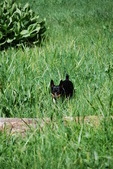Enlarge photo 32