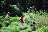 Enlarge photo 33