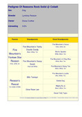 Enlarge HTML Document 1