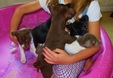 Enlarge photo 11