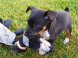 Enlarge photo 8