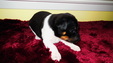 Enlarge photo 22