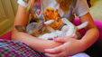 Enlarge photo 4