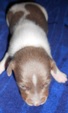 Enlarge photo 32