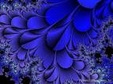 Enlarge photo 41