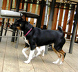 Enlarge photo 40