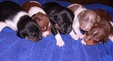 Enlarge photo 34