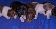 Enlarge photo 35