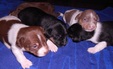 Enlarge photo 36
