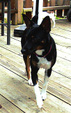 Enlarge photo 38
