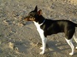 Enlarge photo 39