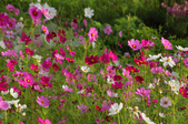 Enlarge photo 35